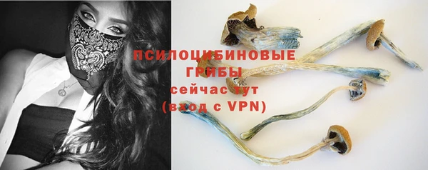 трава Сосновоборск