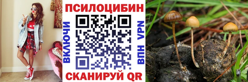 Псилоцибиновые грибы Psilocybine cubensis  Мариинск 